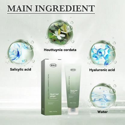 Facial Cleanser Moisture Cleansing Foam Deep